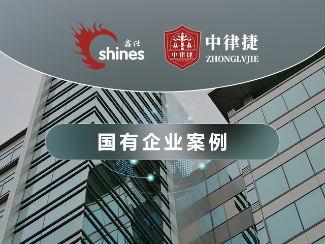 国有企业案例