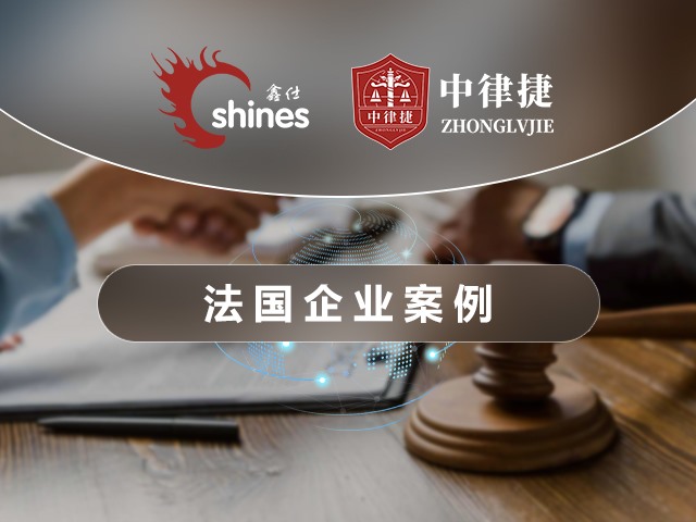 法国企业案例